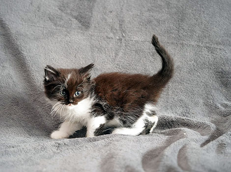 Qualimero am 28.05.2025